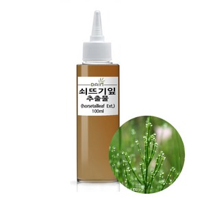 쇠뜨기잎 추출물(Equisetum Arvense Leaf Extract.)