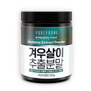 퓨어영 국산 미슬토 겨우살이 추출물분말, 1개, 250g