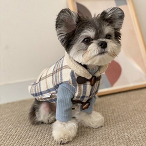 강아지조끼 애견 조끼 겨울옷 산책복 외출복 아우터 골덴 코듀로이, 베이지체크, 1개