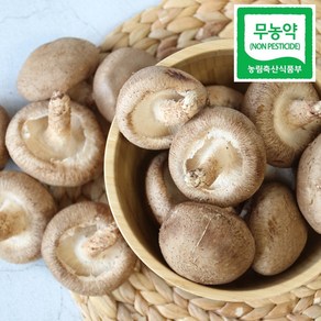 광헌팜 생표고버섯 1kg/2kg/4kg