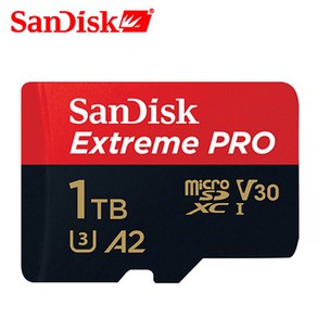 1TB 1T Exteme PRO A2 V30 1024GB 미니 카드 SDXC 메모리 카드 플래시 미니 TF 미니 카드, 1개