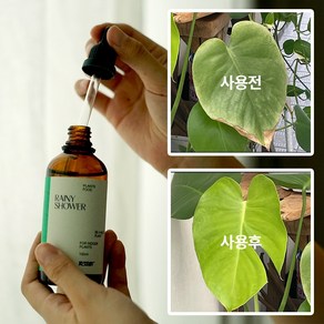 앰플형 고농축 식물영양제 - 레이니샤워, 1개, 100ml