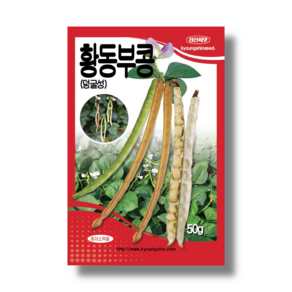 경신종묘 콩씨앗 황동부콩(덩굴성) 50g, 1개