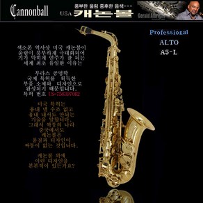 Cannonball saxophone 캐논볼 알토색소폰 A5-L, 1개