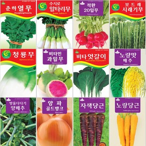 무/배추/양파/당근 씨앗 모음, 22.당근 3000립, 1개