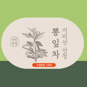 지리산 산청 뽕잎차 25T 4팩 _산청군양잠, 4개, 25개입, 1g