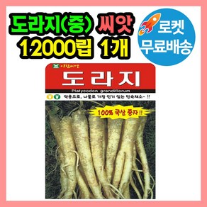 도라지 씨앗 (중포장) 합 12000립 도라지 종자 씨, 1개