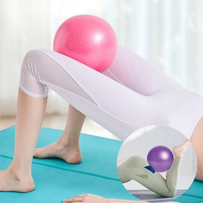 짐볼 운동 미니 요가 볼 공 임산부 스트레칭 근력, 레드
