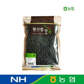 농협 100% 국산 검정콩 서리태 500g, 1개