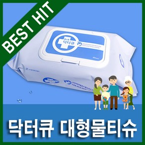 메디홈 - 닥터큐 대형 물티슈(200 x 300cm 60매) 물티슈, 60개, 60개입