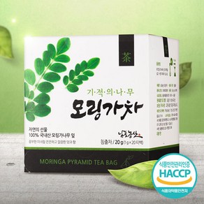 남도농산 모링가차 20g (20티백) x 2박스 / 잎 차 원물 음료 국내산, 20개입, 2개