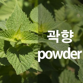 곽향가루 배초향 방아잎 분말, 100g, 1개, 1개입