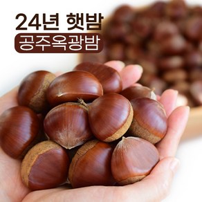 공주 옥광밤 햇밤 알밤 2024년, 1개, 8kg