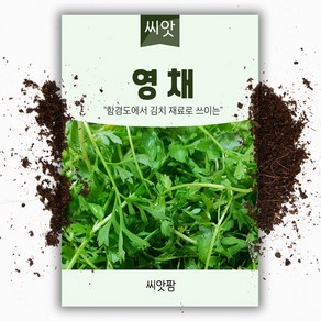 영채(산갓) 씨앗 (5g)