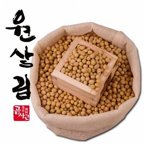 메주콩 1kg, 1개