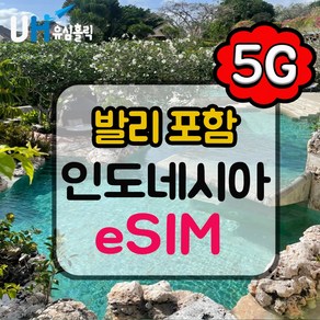 유심홀릭 인도네시아 텔콤셀 이심 eSIM 데이터 무제한 BC e심, 1개, 매일 1GB 소진 후 저속 무제한, 5일