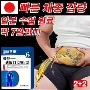 [당일 출고]일본 1/1+1 다이어트 패치 치습 혈자리 패치 배꼽 패치 바디패치 뱃살패치 슬리밍패치 붙이는다이어트패치 바디 라인 관리 도움, 4개, 6개입