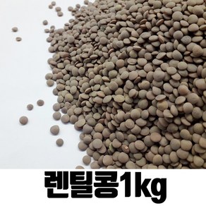 밥보야 수입 렌즈콩 렌틸콩 1kg, 1개