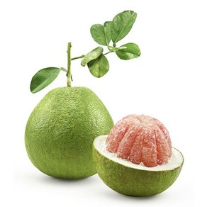 PINK POMELO 베트남 자몽  핑크 포멜로  베트남 그린 자몽 (1과 1.2~1.6kg), 1개, 1.3~1.6kg