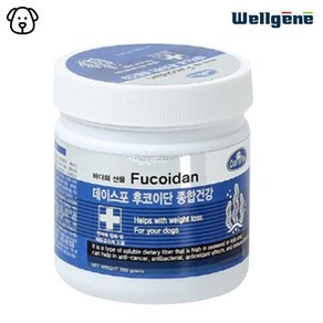 데이스포 후코이단 강아지 영양제 250g 관절 종합 피부 장 영양간식 져키 면역력 간식, 1개