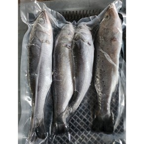 완도 자연산 손질농어 4마리 급냉 (800g) 단백질 껄떡이, 중4마리800g(가정용), 1개