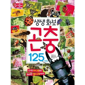 생생화보 곤충 125가지:신기한 우리 곤충부터 화려한 열대 곤충까지