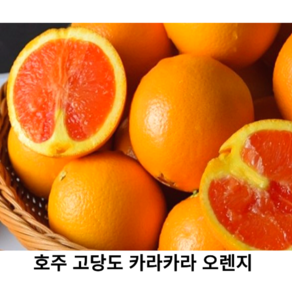 신선한 고당도 카라카라 오렌지 10입 20입 30입 핑크빛 오렌지 붉은 오렌지 자몽오렌지 블러드 오렌지 네이블 오렌지, 1개