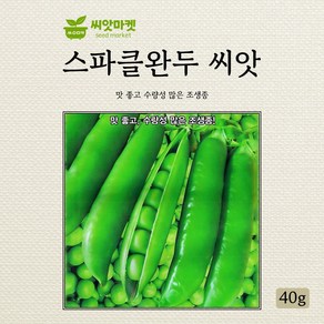 스파클 완두콩 조생종 씨앗 40g, 1개