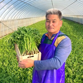 지하암반수로 기른 청정 청도미나리 1KG, 1개