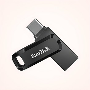 샌디스크 울트라 듀얼드라이브 고 USB Type C USB 메모리, 256GB, 1개