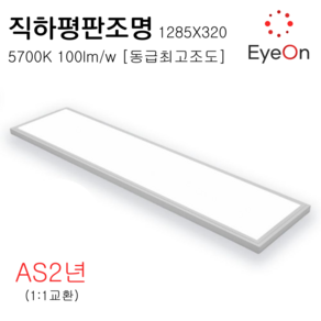 아이온 LED 1285x320 평판조명 직하평판 거실등 주광색 100lm/W 50W, 직하평판 1285x320 50W 1개