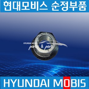 파워택 뉴파워트럭 트라고 엑시언트 호일너트 허브너트 현대모비스 순정 529867F641, 1개