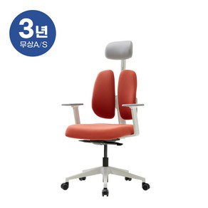 듀오백 골드 사무용의자 D2500G-ASW, 그레이