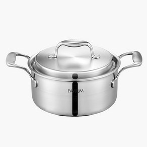 풍년 파비움 통5중 양수깊은냄비 20cm FV5PT-20CD, 1개