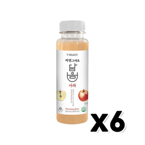 자연그대로 담음 사과주스 페트음료 250ml x 6개