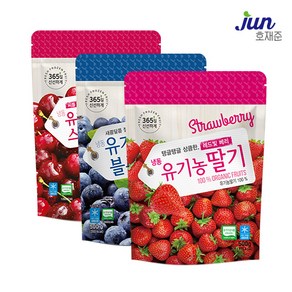 [호재준] 유기농 냉동과일 골라담기 (딸기/블루베리/스위트체리), 1개, [호재준] 냉동 유기농 딸기 500g