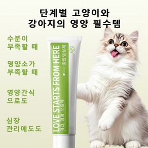 DIDAHOME 펫고양이 영양제 종합영양제 면역력 락토페린, 1개, 120g, 닭+연어