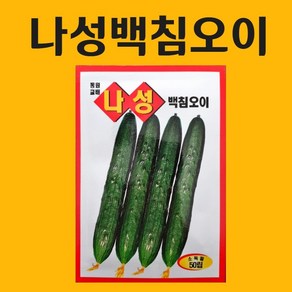 농사친구 나성백침오이 50립 씨앗 동원 씨 종자 쪽파 고사리 명이나물 산상추 초당옥수수 항암배추 담배 산마늘 아스파라거스 고수, 1개