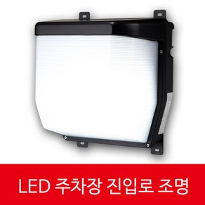 일신전기조명 LED 주차장진입 벽등 옥내용 고효율 친환경 35W 주광색 KC DL-L135-57ELCV IP65 DL, 1개