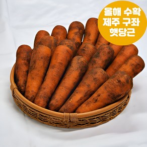 나눔농산물 프리미엄 제주도 구좌 흙당근 1kg 3kg 5kg, 1박스