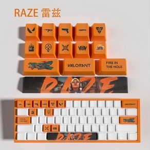 포인트키캡 커스텀키캡 Raze 발로란트 키캡 OEM 프로필 14 키 미니 세트 PBT 염료 서브 새로운 디자인, 13)ASTRA-New, 13 ASTRA-New, 없음