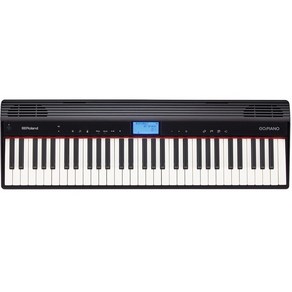 ROLAND GO-61P (GO:PIANO), 1개