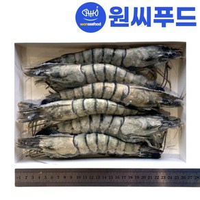 킹 블랙타이거 새우 6미 500g 냉동 홍다리얼룩 대왕새우 대하 중하 소금구이