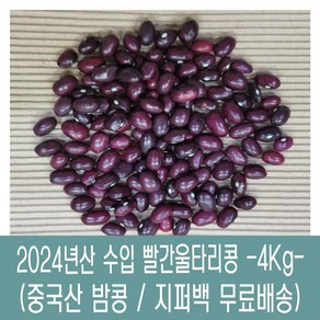 [다온농산] 수입 중국산 빨간울타리콩 -4Kg- 밤콩/밤양대/적울타리/울타리강낭콩, 1개