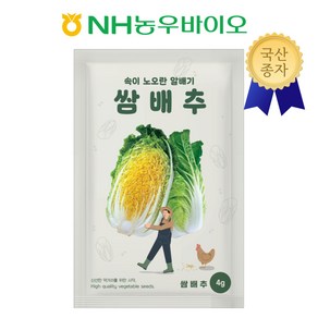 NH농우바이오 속이 노오란 알배기 쌈배추 4g, 1개