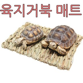 파충류 도마뱀 육지거북 매트 바닥재 27.5cmX15cm, 1개