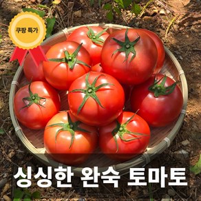 나만의건강by설리마켓 싱싱한 프리미엄 국내산 완숙토마토 대과 중소과 3kg 5kg, 1개, 3kg(대과 1-2번다마)