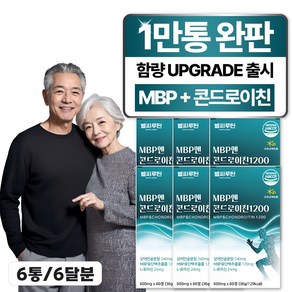 헬씨루틴 MBP 앤 콘드로이친 1200, 60정, 6개