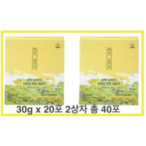 제주담아서! 통째로 갈아만든 자임 비타민 제주 레몬차, 600g, 2개