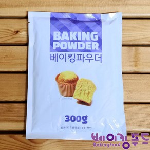 선인 베이킹파우더300g, 1개, 300g